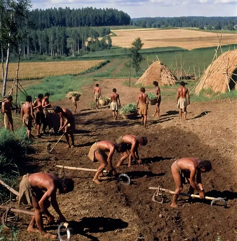 فصل دوم انقلاب کشاورزی (نئولیتیک)_4